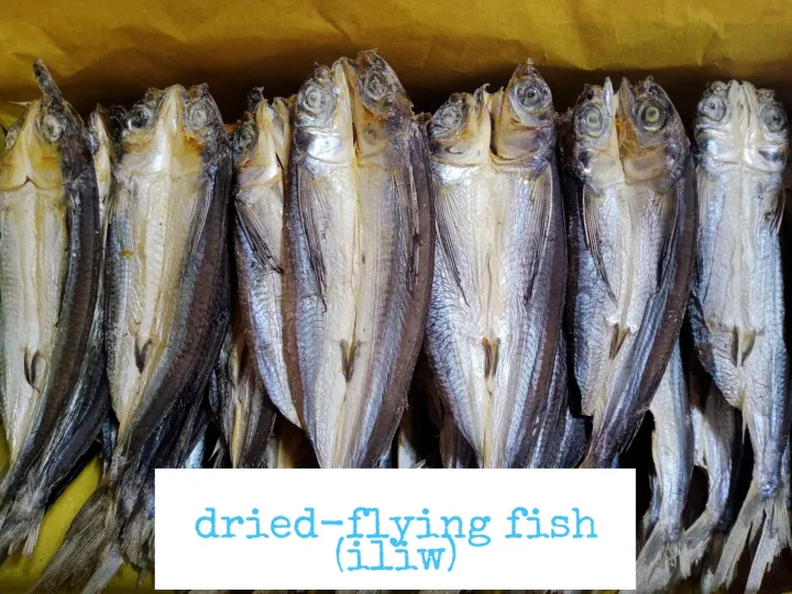 Dried Flying Fish (iliw) 250grams | Lazada PH