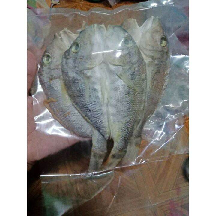 Special Katambak Dried Fish 1/4kilo 250g Lazada PH