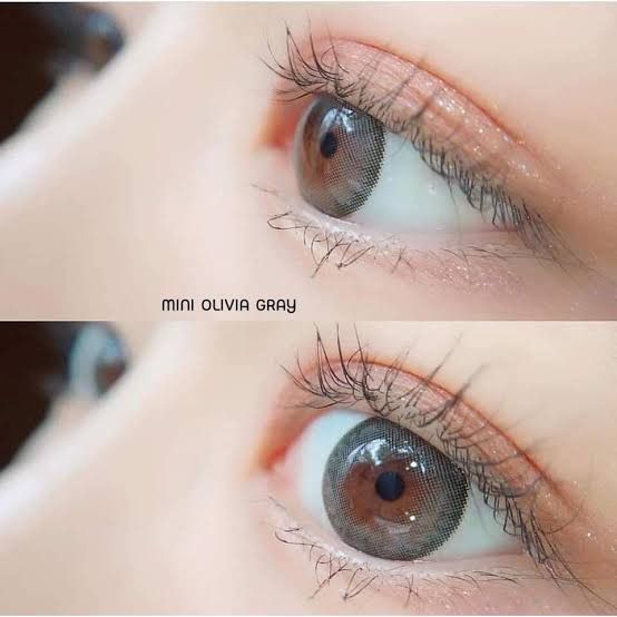 สายตาปกติ-คอนเเทคเลนส์-kitty-kawaii-mini-olivia-gray