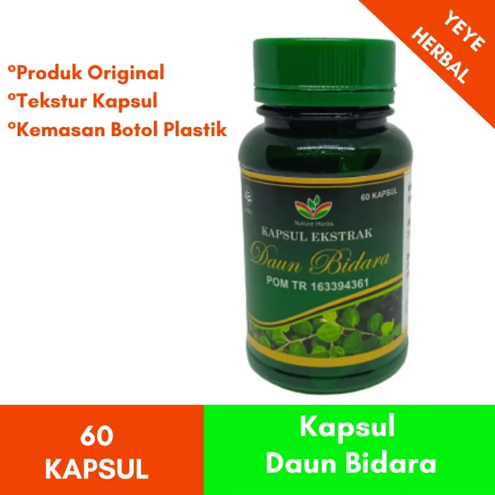 Kapsul Ekstrak Daun Bidara Nature Herb Lazada Indonesia