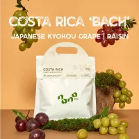 เมล็ดกาแฟ คั่วอ่อน Nana Coffee Roasters - Costa Rica Bach 200g