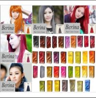 Berina ครีมย้อมผมเบอริน่า มีให้เลือก 47 สี