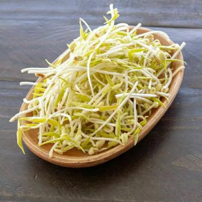 mung bean for sprout microgreens 1kg Lazada PH