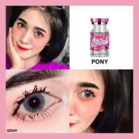 Pony gray /pola ฝาเหลือง บิ๊กอายส์สีเทาตาโต ตาหวานฉ่ำ