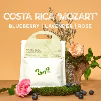 เมล็ดกาแฟ คั่วอ่อน Nana Coffee Roasters - Costa Rica Mozart 200g