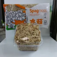 **แบ่งขาย**สแฟกนั่มมอส Spagmoss (Bestgrow)