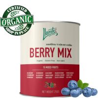 ?Organic Berry Mix Powder ผงเบอร์รี่มิกซ์ ออร์แกนิค คัดเกรดพรีเมี่ยม เบอร์รี่รวม ผงเบอร์รี่รวม ขนาด 250 กรัม