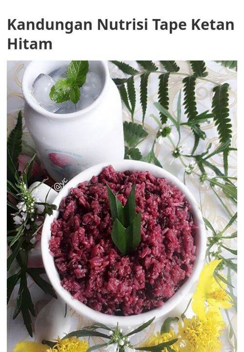 TAPE KETAN HITAM MAKANAN TRADISIONAL MANIS DAN ASEM KHAN MAKANAN INDO
