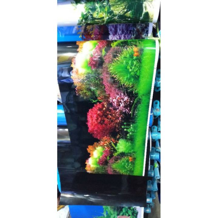 ภาพวิวติดตู้ปลาสวยงามลายไม้น้ำขายเป็นฟุต-ฟุตละ-60-บาท