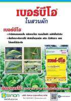 เบอร์-บีโอ ✅ขนาด1000กรัม ❌กำจัดแมลง ❌หนอนชอนใบ ❌หมัดกระโดด ❌หนอนใยผัก ในถั่วฝักยาว พริกและพืชผักต่างๆ