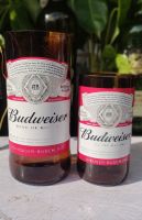 แก้วตัดจากขวด เบียร์Budweiser (บัดไวเซอร์)