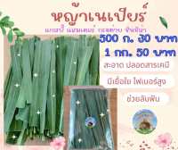 หญ้าเนเปียร์สด ปลอดสารพิษ ใยอาหารสูง สำหรับสัตว์เลี้ยง  ปริมาณ1000 กรัม