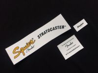 โลโก้หัวกีต้าร์ Squier Stratocaster Standards