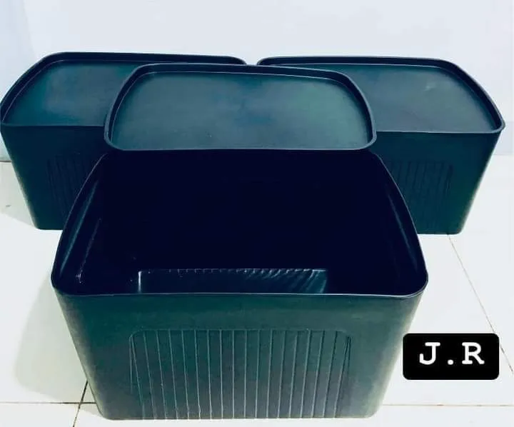 storage box xl size Lazada PH