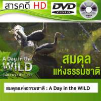 DVD สารคดี  สมดุลแห่งธรรมชาติ : A Day in the WILD  ภาพชัด เสียงชัดดีวีดี (รหัส SRD014)