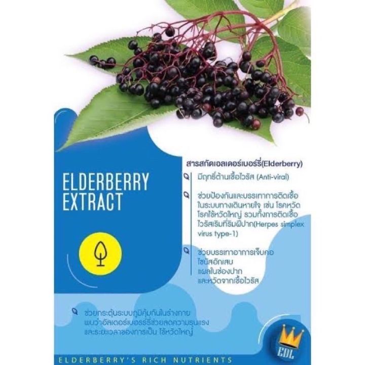 fornax-elderberry-extract-สารสกัดเอลเดอร์เบอร์รี่-วิตามินซี-อาหารเสริมสำหรับคนเป็นหวัด-ภูมิแพ้-เสริมภูมิคุ้มกัน