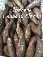 ไซส์กลาง 1 กล่อง 10 กิโลกรัม บัวหิมะดอยอ่างขาง