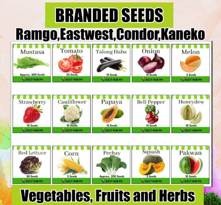 VEGETABLE SEEDS, FRUITS and HERBS seeds. Talong/okra/pepper/sili/radish ...