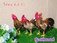 ไก่ชนจริง ขนาด 5.5 นิ้ว