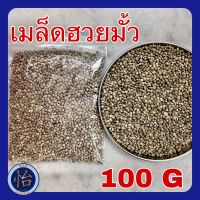 เมล็ดฮวยมั้ว 100 กรัม เกรดA 火麻仁 อาหารนกแก้ว ฮวยมั๊ว ฮ้วยมั้ว Hemp Seed เมล็ดพืช โปรตีนสูง ไขมันสูง อาหารว่างสำหรับนก แฮมสเตอร์  กระรอก