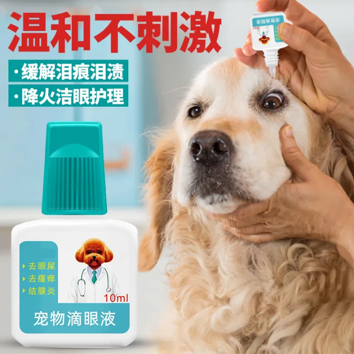 Cat Nose Eye Drops for Canadenitis Dog Cataract Eye Drops Antibacterial
