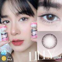 คอนเทคเลนส์ Lilly ตัดขอบบางๆ ดูตาโต แบ๊วๆ หวานๆ (ฟรีตลับ)