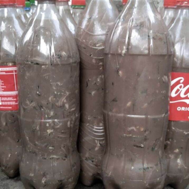 Bagoong Monamon Dilis 1.5L Lazada PH