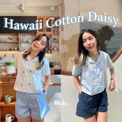 🌼Hawaii Cotton Daisy🌼