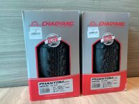 Chaoyang Phantom Speed 29x2.2