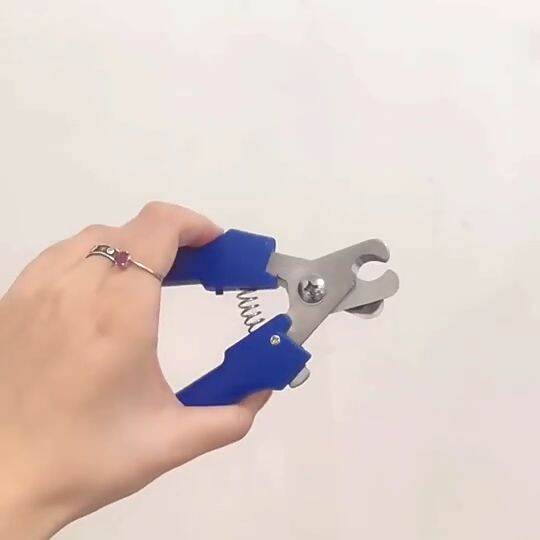 Pig Tail Clamp Pliers Cut Tail Piglets Stainless Steel Pig Sharp Tail