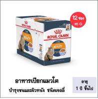 Royal canin intense beauty health skin and coat โรยัล คานิน อาหารแมวแบบเปียก jelly-garatina แมวโต 1 ปีขึ้นไป 85G x12 ซอง