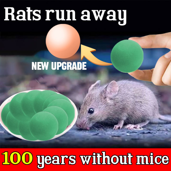 Do Mothballs Keep Mice Away?