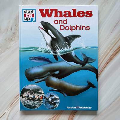 หนังสือสารานุกรมความรู้ สำหรับเด็ก ภาพสวย คมชัด  🌷🌿 Whales and Dolphins 🌿🌷