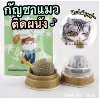 ขายดี? กัญชาแมวติดผนัง Catnip กัญชาแมวอบแห้ง