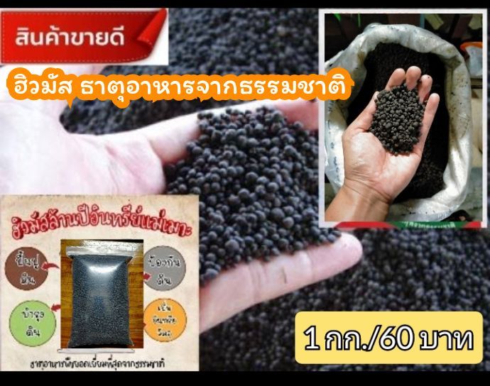 ฮิวมัสสูตรเข้มข้น-จากเหมืองแม่เมาะ-1-กก-60-บาท