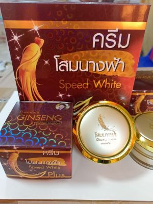 ( เขต  12 กระปุก) ครีมโสมนางฟ้า สูตรกลางคืน ขนาด 20g  Speed White  Plus Premium