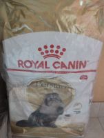 Royal canin Adult Persian อาหารแมวโตพันธุ์เปอร์เซีย ขนาด10kg.