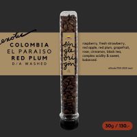 เมล็ดกาแฟคั่ว เกรดพิเศษ | COLOMBIA EL PARAISO ‘RED PLUM’, D/A Washed | Single Origin Specialty Coffee ขนาด 30g (แบบหลอด)