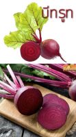 บีทรูทสด (beetroot) สำหรับคนรักสุขภาพ เนื้อแดงสวย