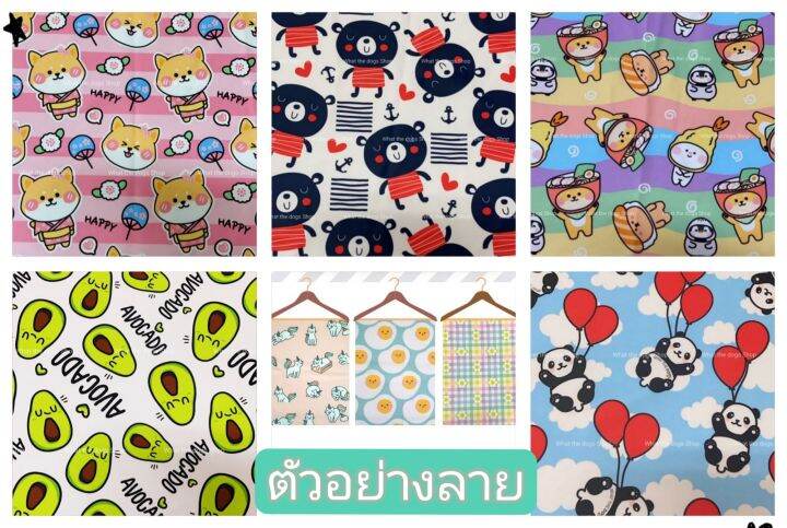 พร้อมส่ง-ชุดกันเลียแมว-ชุดทำหมันสุนัขและแมว-ชุดหลังผ่าตัดสัตว์เลี้ยง-what-the-dogs