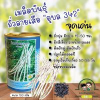 เมล็ดพันธุ์ถั่ว ลายเสืออุบล ตรางอบทอง  100 กรัม