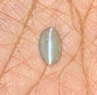 ตาแมวคริสโซเบริลธรรมชาติ 1.89cts 8x5mm 1.89cts natural chrysoberyl catseye 8x5mm