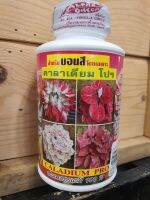 ปุ๋ยบอนสีเร่งสีด่วนๆ  คาลาเดียมโปร  caladium pro  ไคโตซาน  สาหร่ายทะเลฉีดพ่น หรือผสมน้ำรองกระถาง