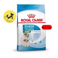 Royal Canin Mini Starter Mother &amp; Baby Dog 8.5 kg. (อาหารสำหรับแม่และลูกสุนัขพันธุ์เล็ก)