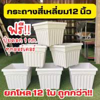 ?ราคาพิเศษ? กระถางสี่เหลี่ยม 12 นิ้ว 12 ใบ (ยกโหล) กระถางกุหลาบ กระถางโรมัน