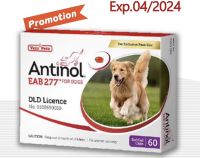 Antinol dog 60 capsules