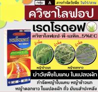 ? เรดโรดอฟ ? ( ควิซาโลฟอบ-พี-เอทิล 5%EC) ขนาด 500ซีซี. สารกำจัดวัชพืชทั้ง ใบแคบ และใบกว้าง กก หนวดปลาดุก ในไร่ถั่วลิสง ถั่วดิน มันสำปะหลัง สับปะรด ยาสูบ