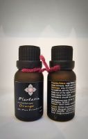 Pure Essential Oil_Orange น้ำมันหอมระเหยเเท้จากธรรมชาติ เปลือกส้ม ขนาด 15 ml.