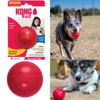 Kong Ball ของเล่นสัตว์เลี้ยง