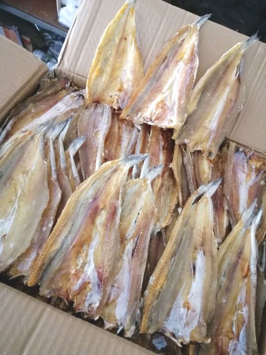 การันตีความอร่อย-sale-ปลาช่อนทะเลแห้ง-ปลาจิโก๋-ของดี-ราคาถูก-คุณภาพจัดเต็ม-สุดคุ้ม